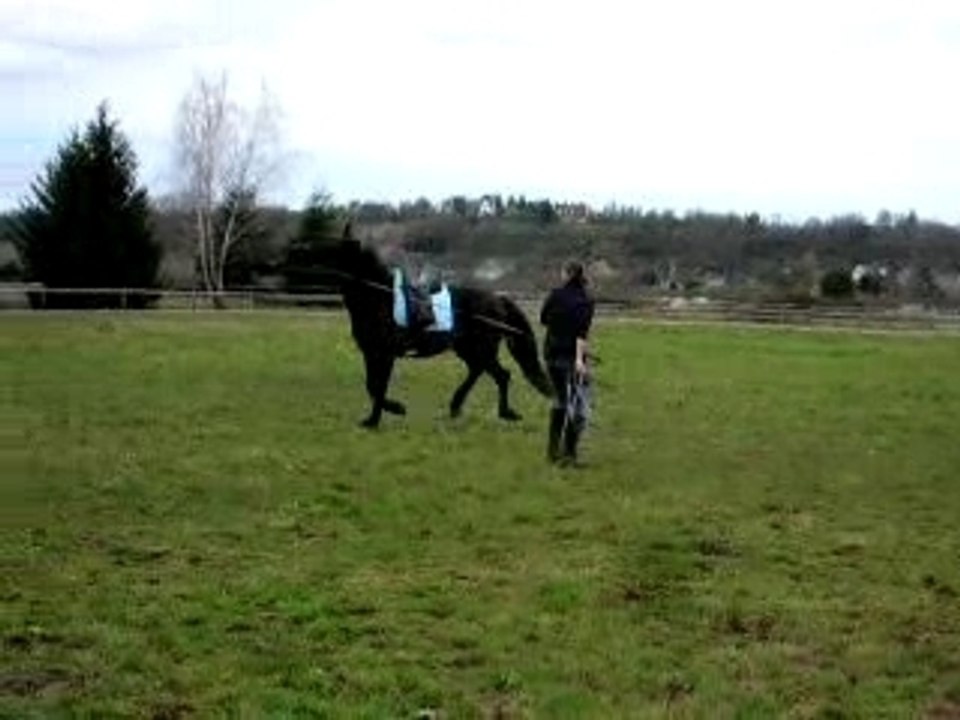 Quiator en longe1