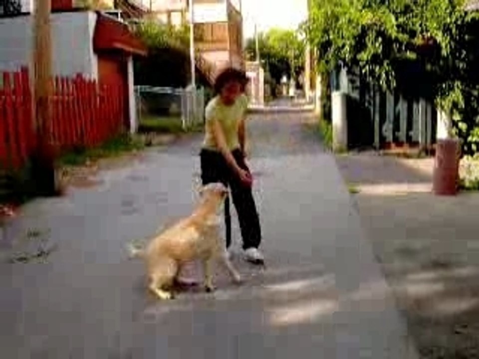 You've got what it takes