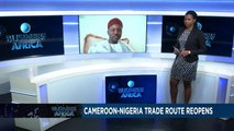 Cameroon-Nigeria: the road to business [Business Africa]