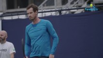 ATP - Andy Murray is back  and Wimbledon ? : 