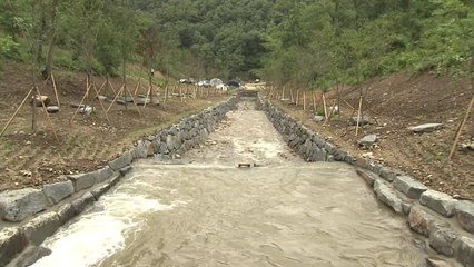 집중호우로 인한 '산사태' 피해 줄일 수 있다 / YTN