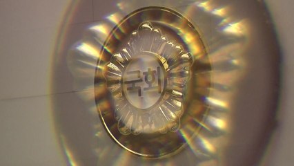 [팩트와이] 청와대 '국회 심판론'은 선거법 위반? / YTN