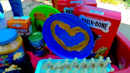 Help Enrich a Dog’s Life at the Yavapai Humane Society