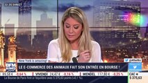 New York is amazing: Le e-commerce des animaux fait son entrée en bourse ! - 13/06