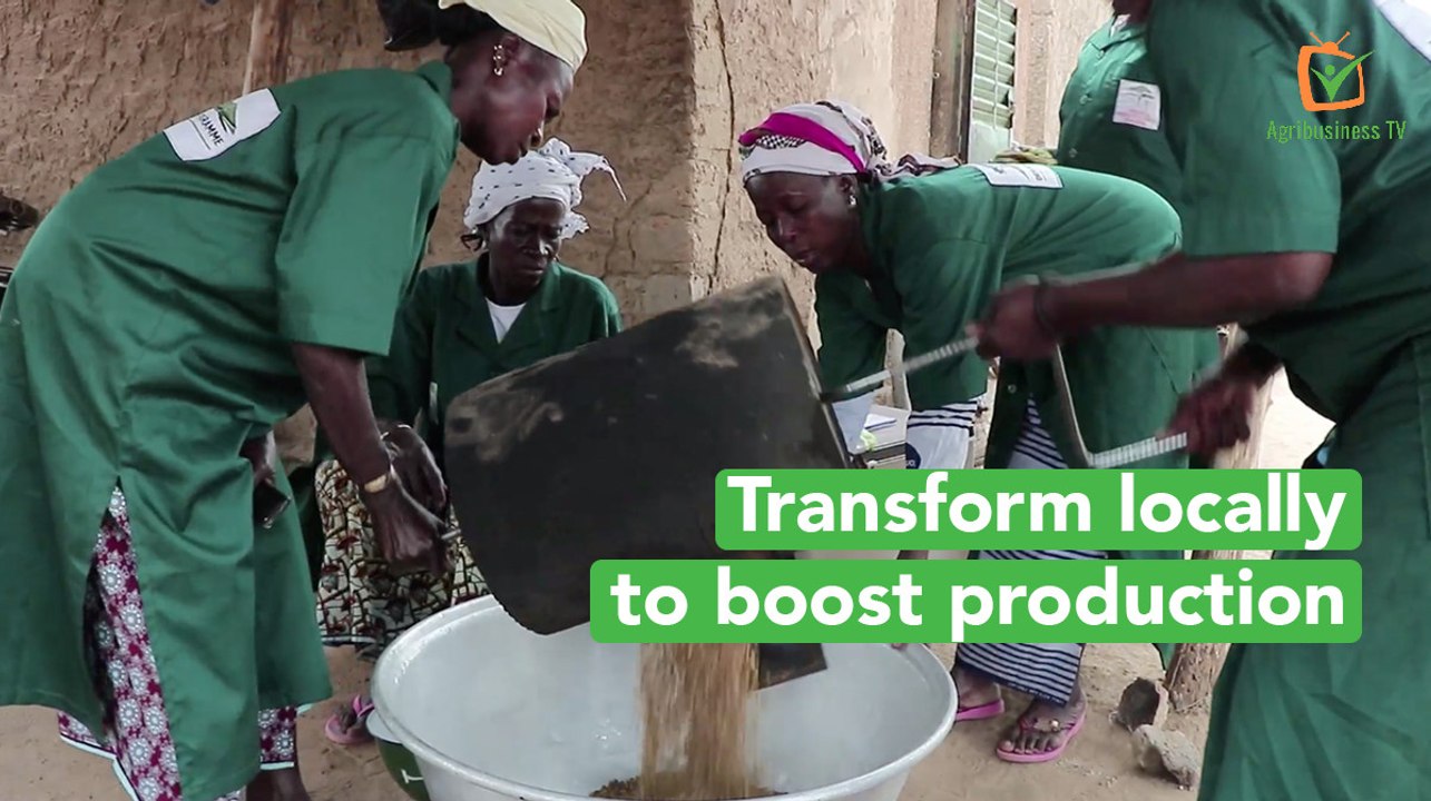 Burkina Faso: Transform locally to boost produc...