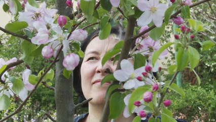 الطريق إلى السعادة