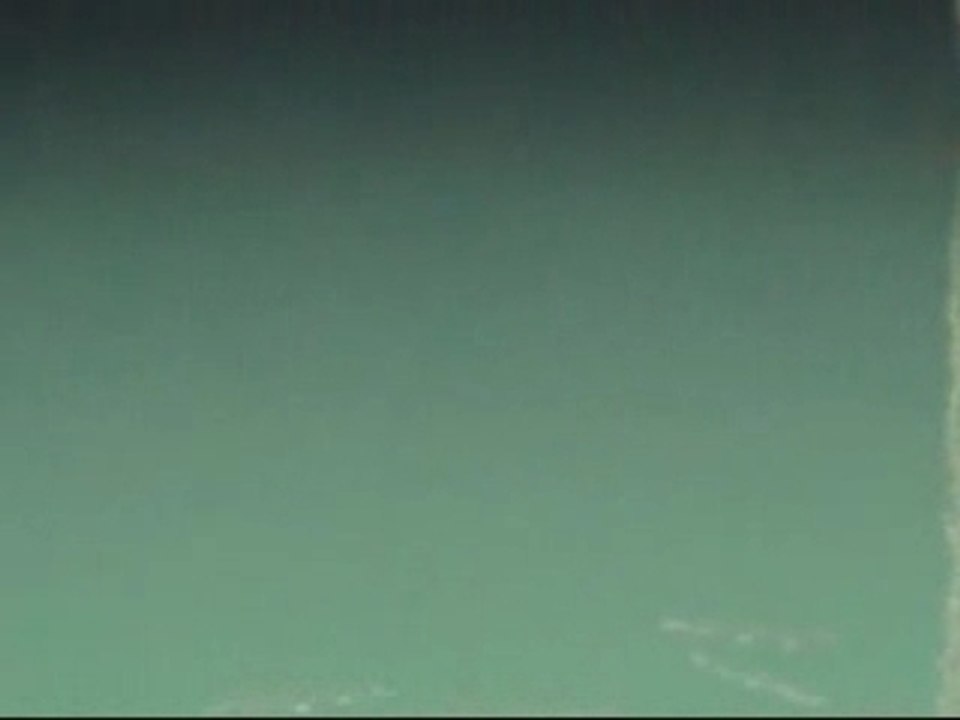 TACHE DE TRUITES DE MER