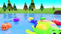 Colors for Children to Learn with Baby Fun Play with Turtles Wooden Sliders into Lake 3D Kids Edu