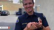 Firefighters Rescue Pet Snake Stuck In Drain