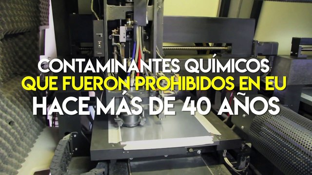 Tecnología y ciencia | Esto podría matar a la mitad de la población de orcas en el mundo