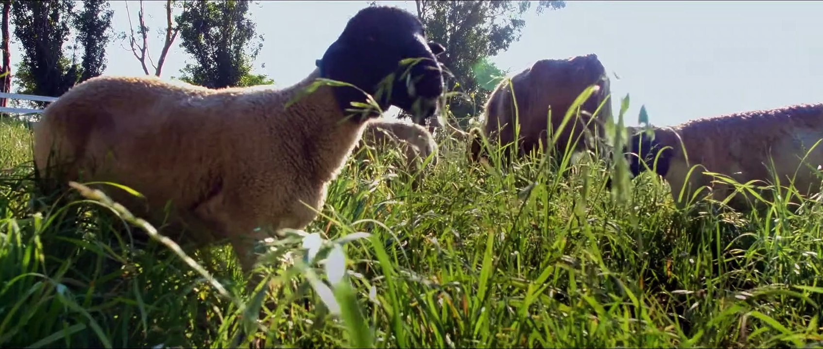 Unsere große kleine Farm Film