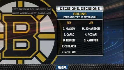 Bruins Turn To Offseason Checklist Following Stanley Cup Final