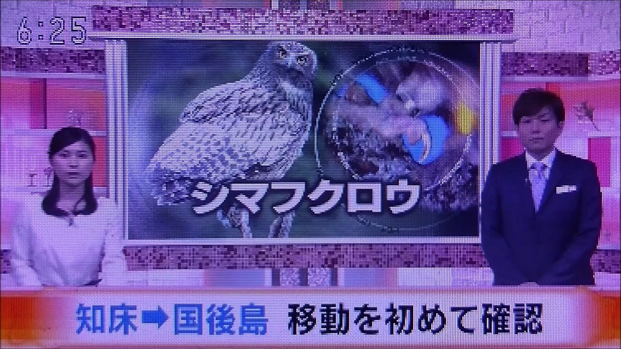 2019 06 10　NHK ほっとニュースアイヌモシリ　【 神聖なる アイヌモシリからの 自由と真実の声 】