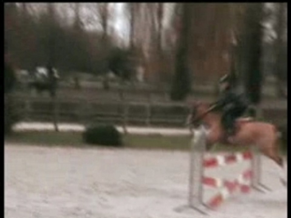 NOE Séance CSO 19 Janvier