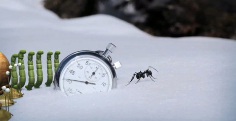 사설경마 M A 892 점 NET 사설경마배팅