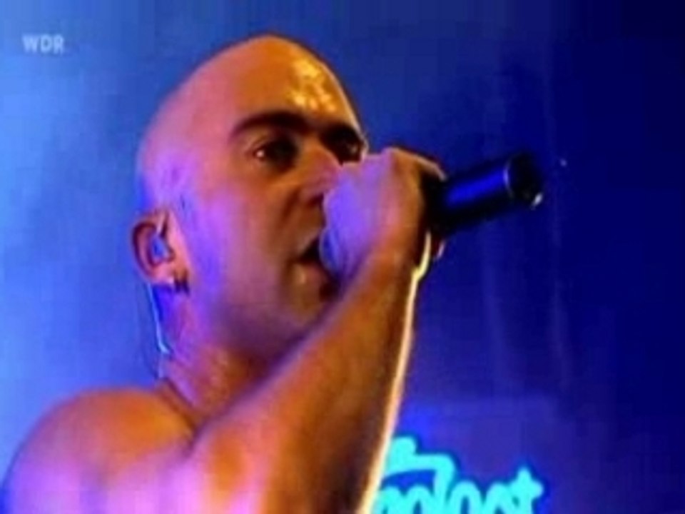 Live_The Dolphin's Cry