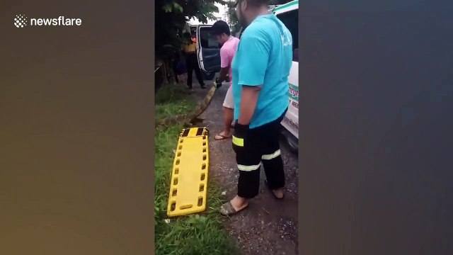 Caring vet adopts monitor lizard who was attacked and dumped in ditch by Thai factory workers