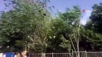 Yavru kuşları fırtına savurdu, vatandaşlar topladı