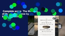 The Meaning Of Life Existence By Theologian Fr Dumitru - 