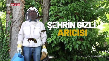 İstanbul’un merkezinde arıcılık yapıyor