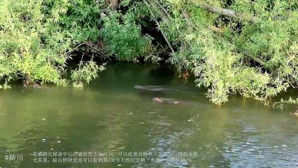 'Natural Daegu', the rising city of eco-tourism