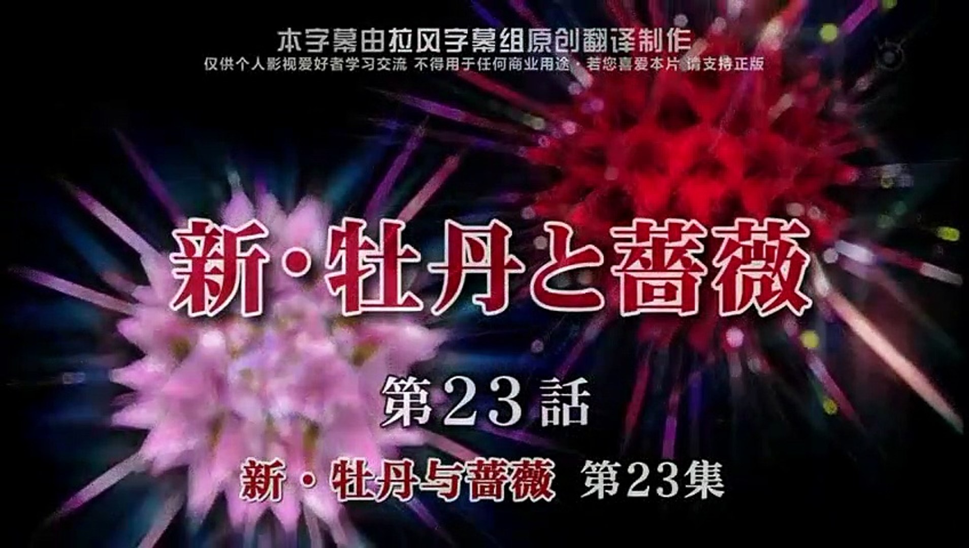 新牡丹與薔薇 牡丹與玫瑰23 影片dailymotion