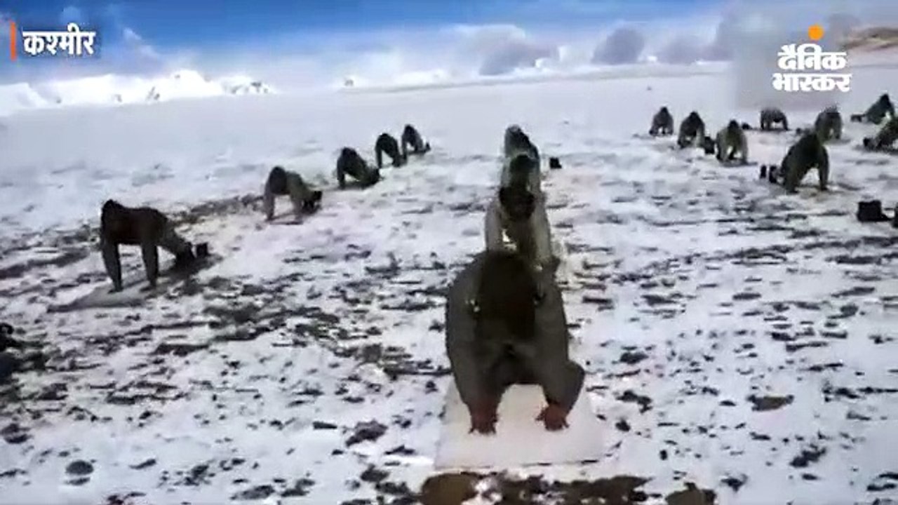 जवानों ने 18 हजार फीट की ऊंचाई पर योग किया