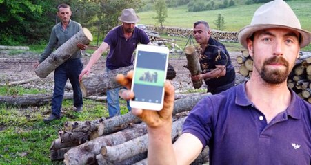 Anne ayı, orman işçilerini 'rehin' aldı