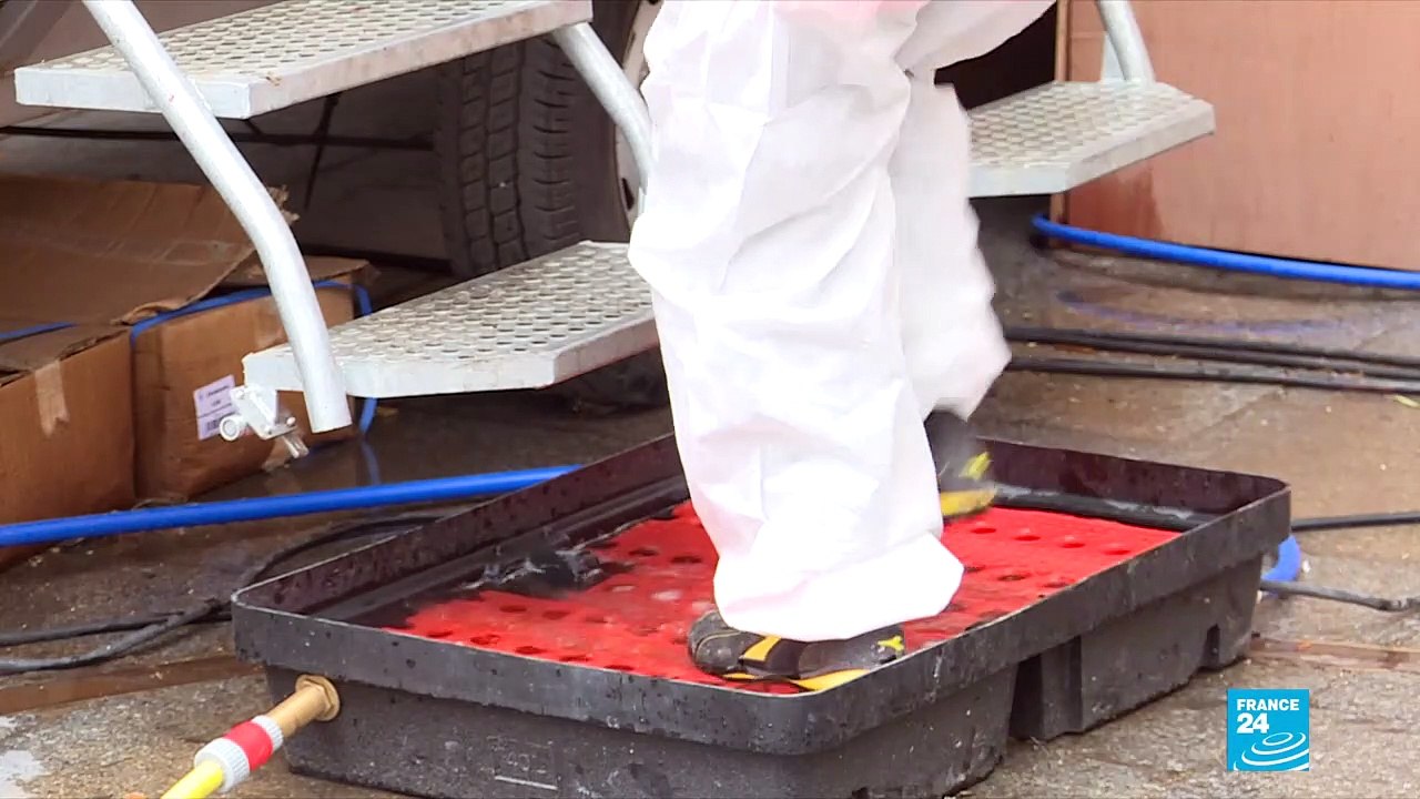 Notre-Dame decontamination still underway