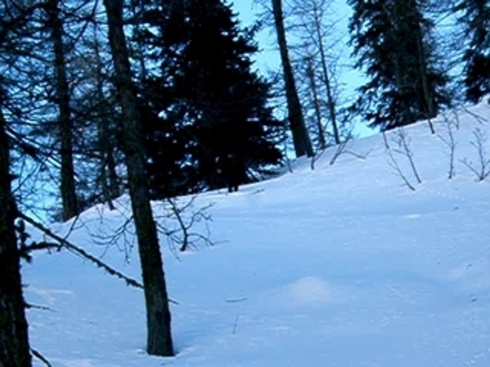 Ski de rando à la Croix Carlé