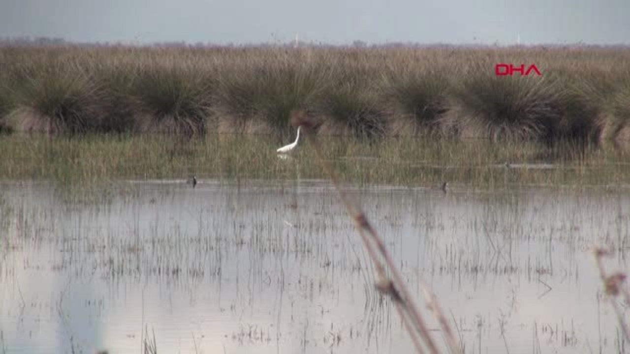 SAMSUN Kızılırmak Deltası için UNESCO süreci gelecek yıla kaldı