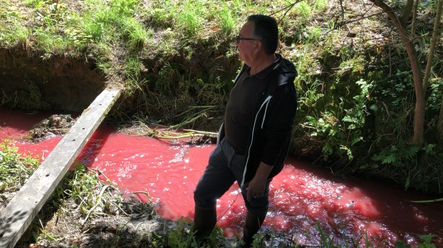 Une pollution rouge constatée dans un cours d’eau se jetant dans la Vilaine