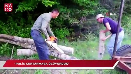 Kastamonu’da anne ayı orman işçilerine 1 saat cehennemi yaşattı