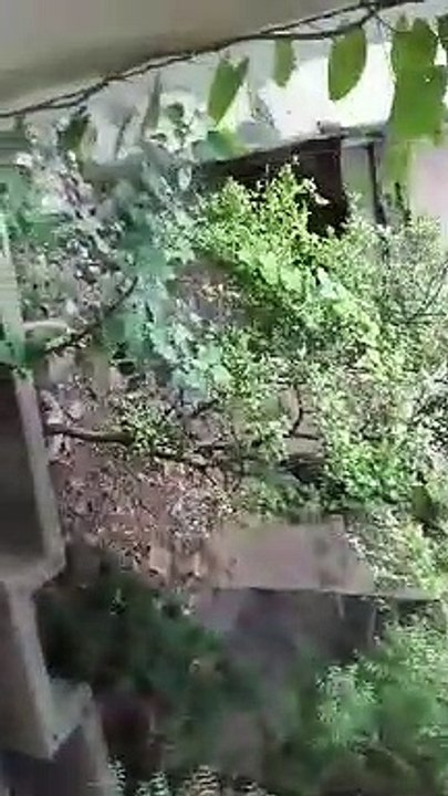 Exploring the abandoned - spooky