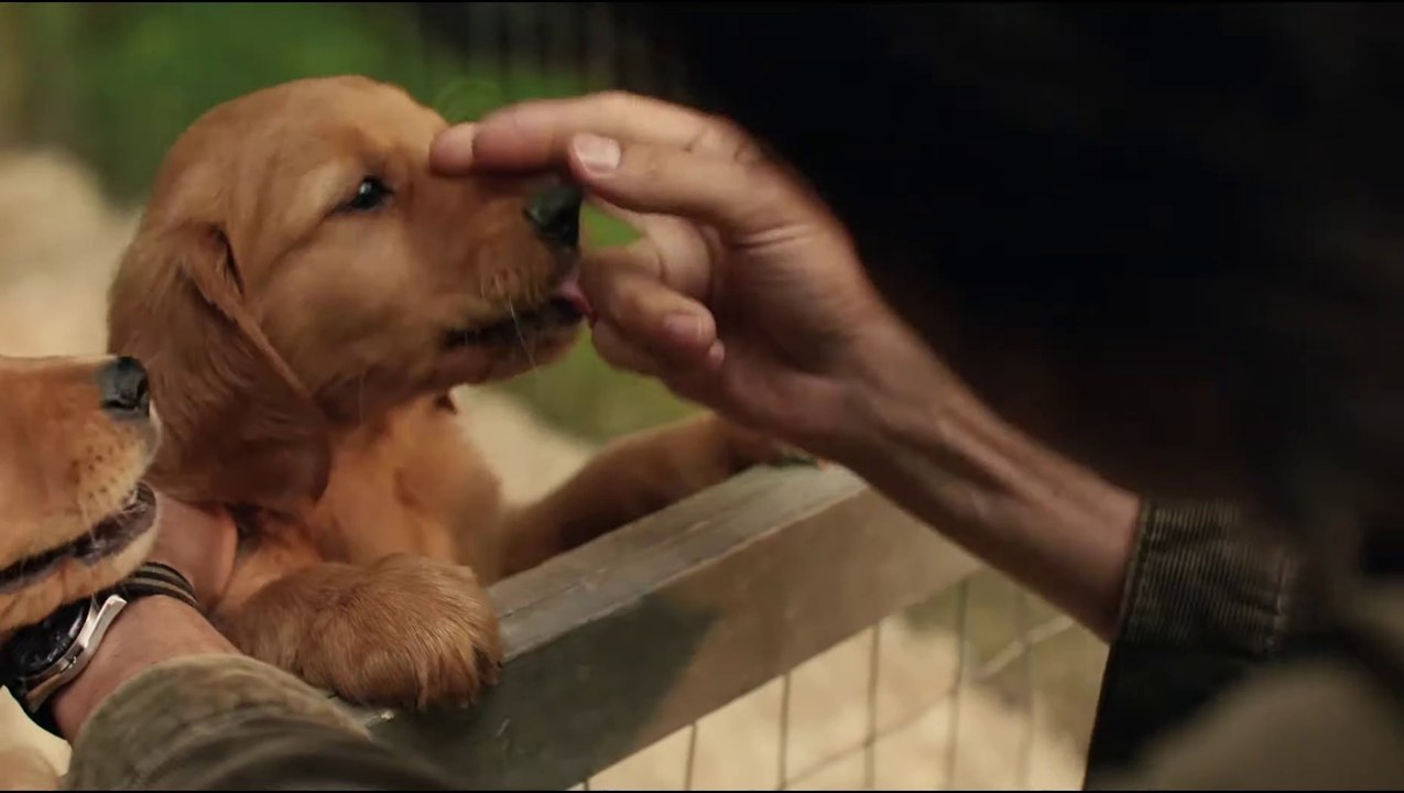 Enzo und die wundersame Welt der Menschen Film