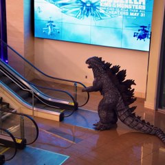 Godzilla Rey De Los Monstruos - Godzilla en el cine