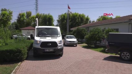 ANTALYA Yaralı martı tedavi edildi