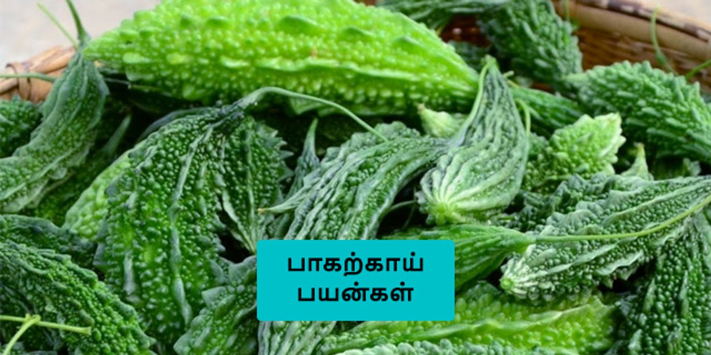 பாகற்காயை இப்படி சாப்பிட்டால் சர்க்கரை நோய் குணமாகும்