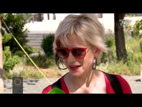 Wake Up/ Bie stereotipi: Meshkujt bëjnë 76 minuta në ditë thashetheme, më shumë se femrat