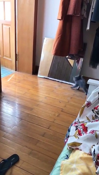 Who are you?