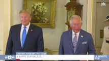 L'énorme bourde de Trump avec le Prince Charles - ZAPPING ACTU HEBDO DU 15/06/2019