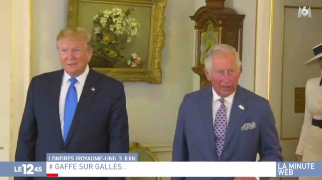 L'énorme bourde de Trump avec le Prince Charles - ZAPPING ACTU HEBDO DU 15/06/2019