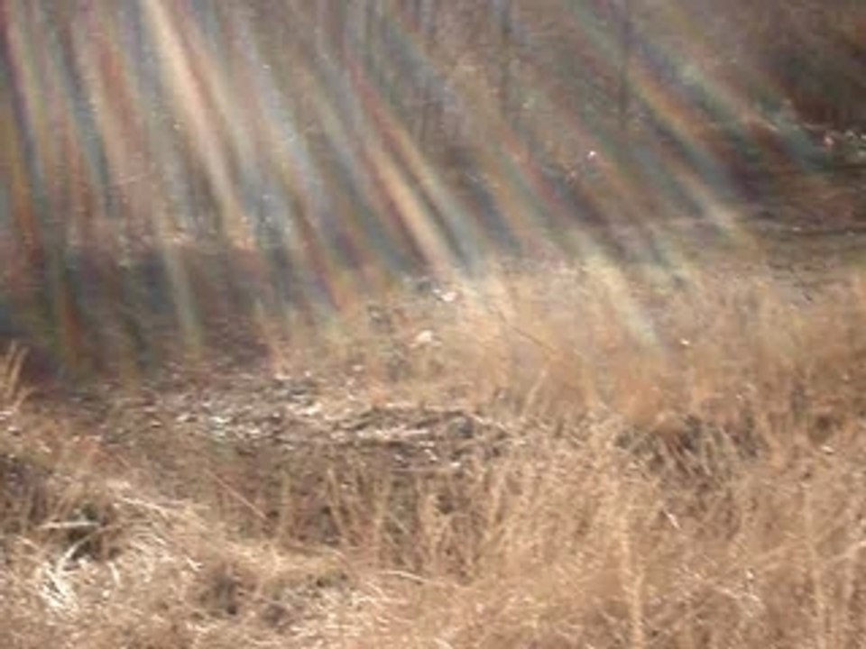 MOV00002