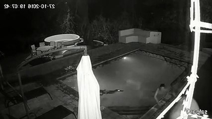 Un crocodile sort de nulle part et attaque un couple dans une piscine