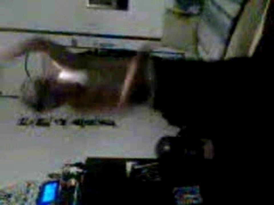 ECLECTRO TECK PARTI 3 JUNIOR