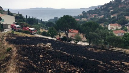 L'incendie a ravagé près de 6 hectares au Lavandou