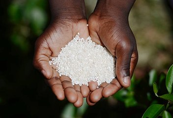 La journée mondiale contre la faim le 15 juin : mobilisation urgente