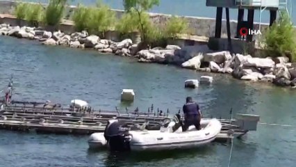 Zabıtadan gölde ördek kurtarma operasyonu