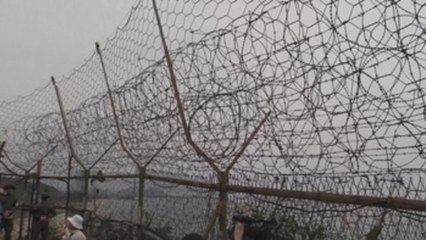 Ciervos salvajes y minas antipersona, senderismo en la frontera intercoreana