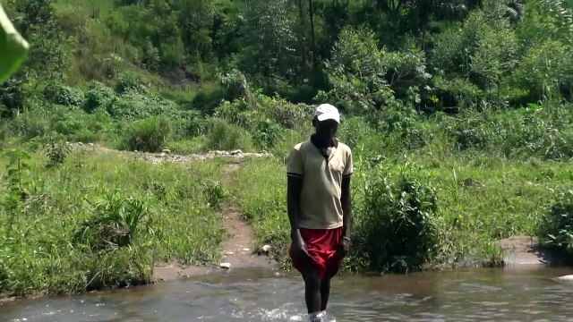 OMS discute se epidemia de ebola é emergência sanitária mundial